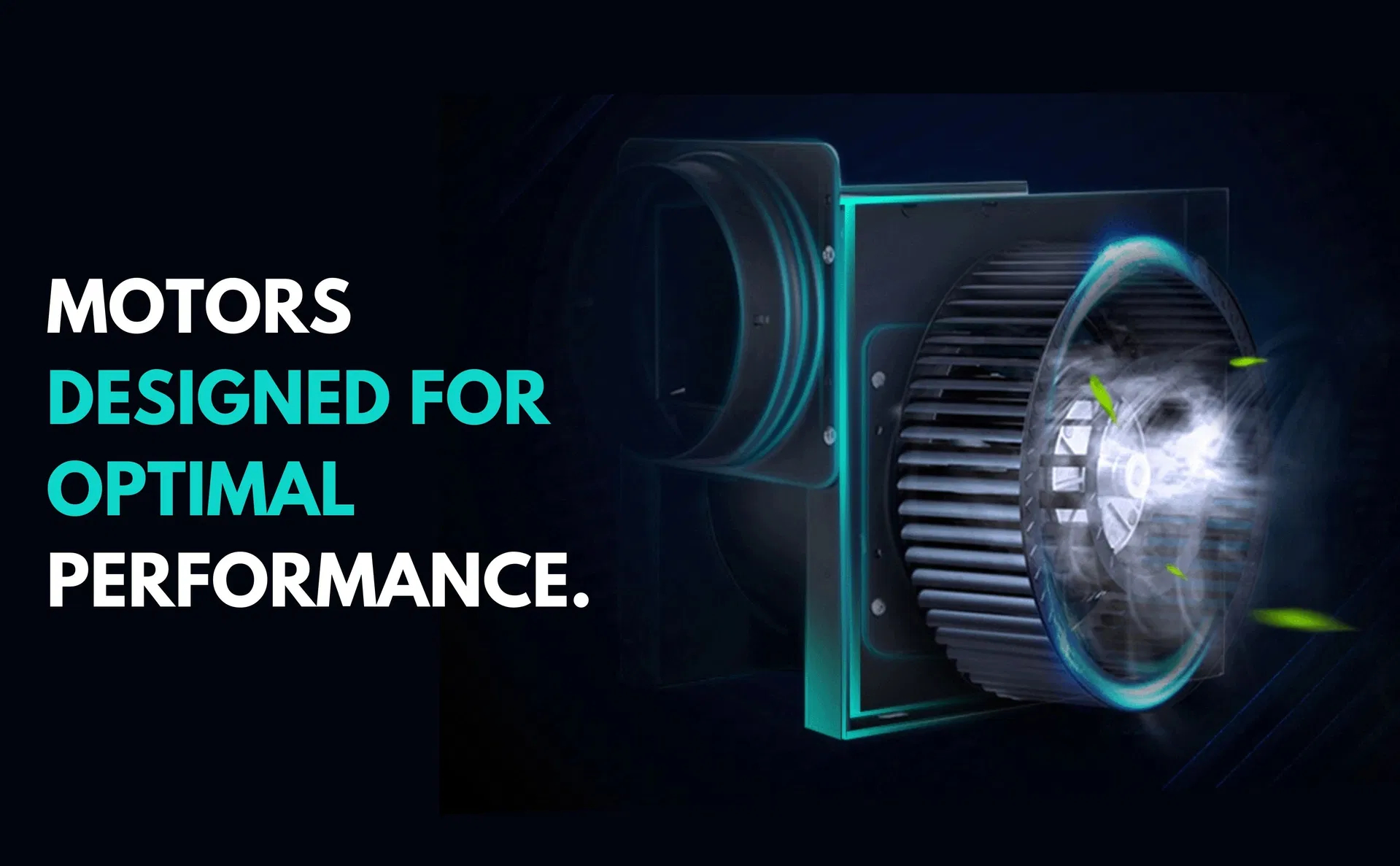 17581668006b38b9 (1)