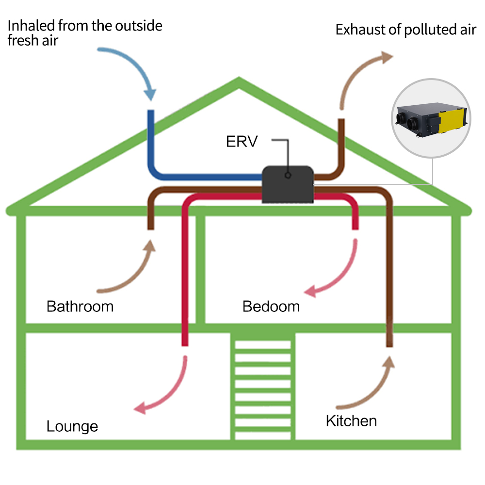 ERV Ceiling Fan Buying Guide: How to Choose the Right One for Your Home